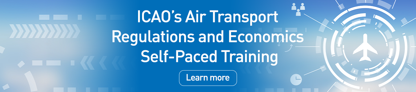 Air transport regulations and economics training